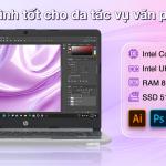 Laptop HP 240 G8 i3 1115G4/8GB/512GB/Win11 (6L1A2PA)